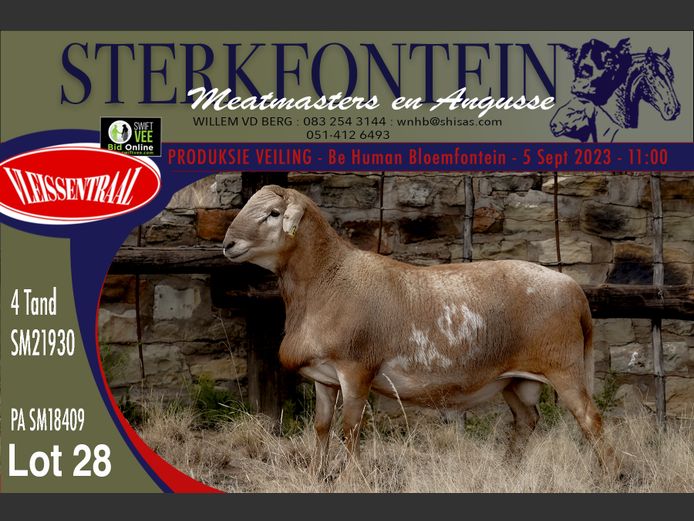 SM 21 930 | Sterkfontein Meatmasters