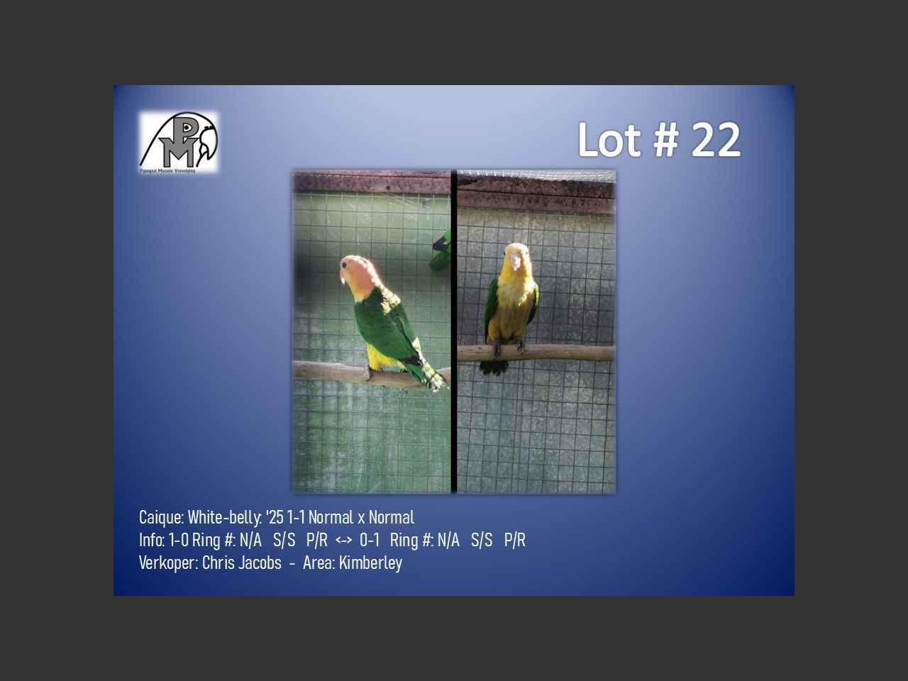 images