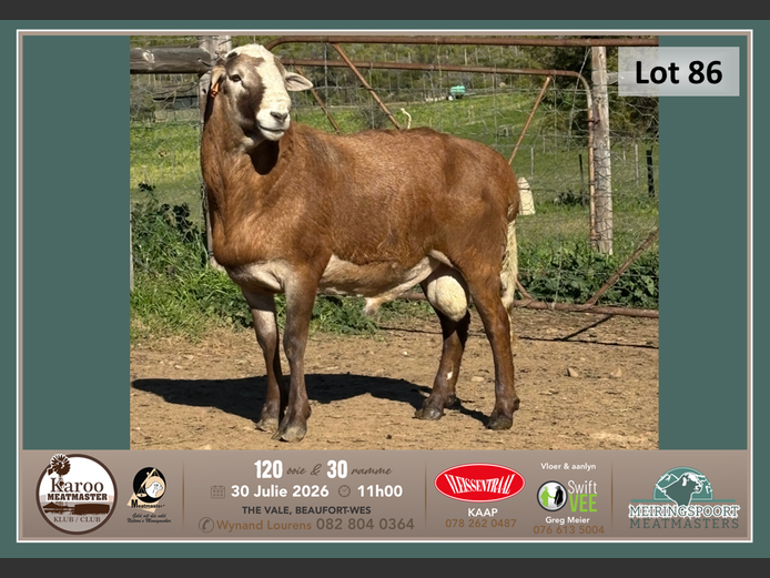 SB 101 | Tiaan Lourens - Meiringspoort Meatmasters