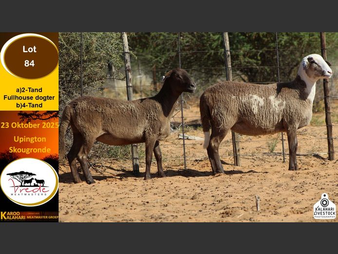 PS 84A | Peter & Christia Scholtz - Vrede Meatmasters