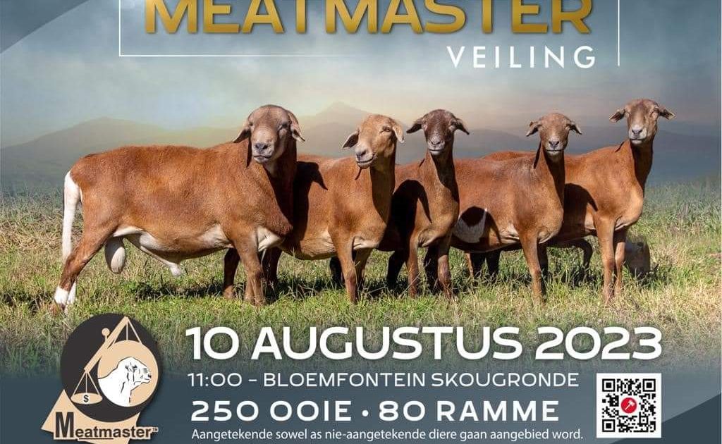 NASIONALE MEATMASTER VEILING | SwiftVEE | South Africa’s Leading Online ...