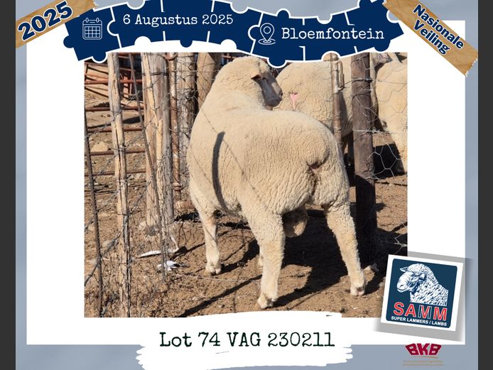 23-0211VAG | GREYLING J van A