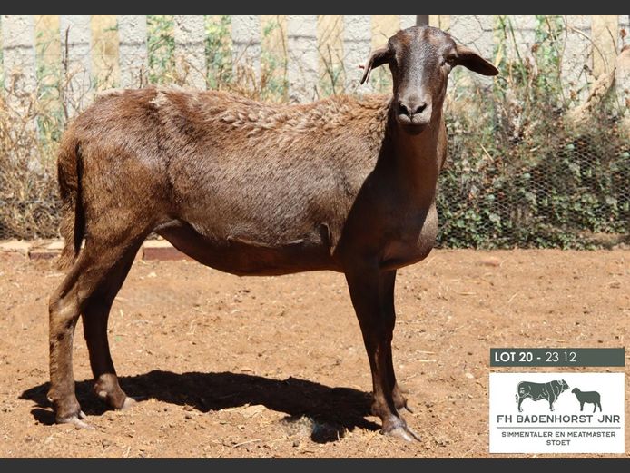 23 12 | FH Badenhorst JNR