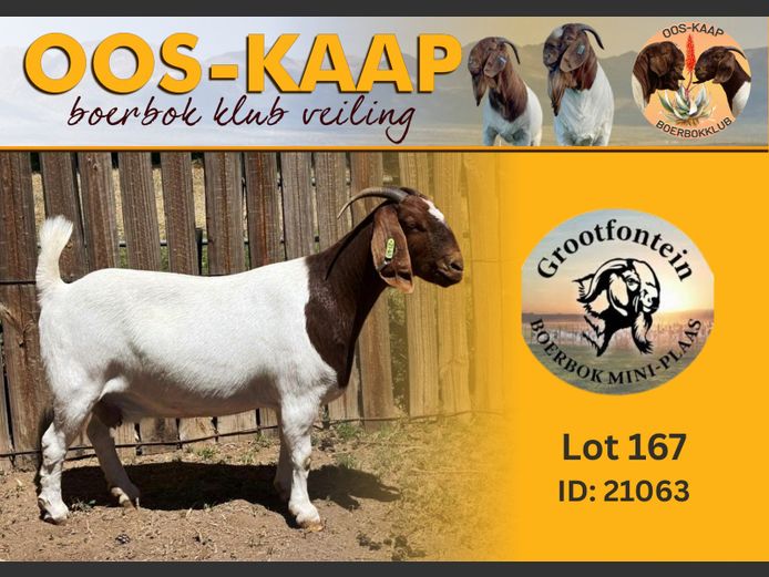 21-063 | Grootfontein