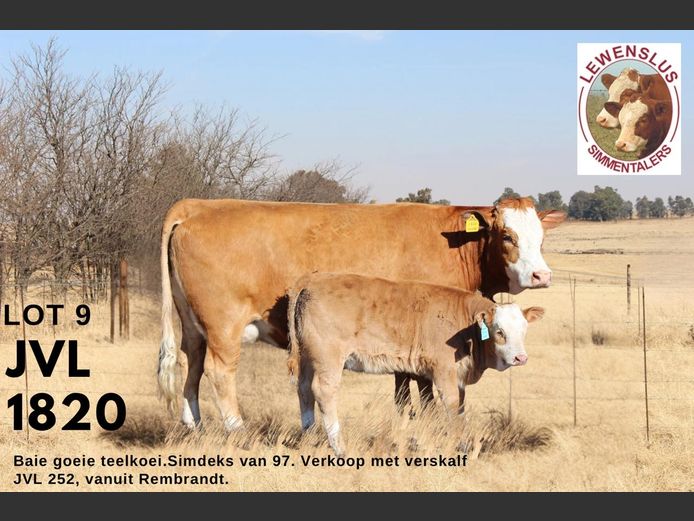 JVL1820 | JSH VAN DER LINGEN