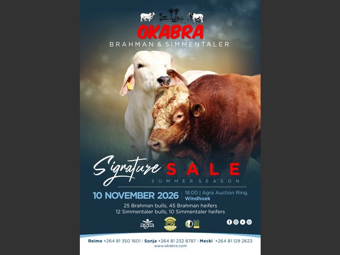 OKABRA BRAHMAN AND SIMMENTALER SUMMER SIGNATURE SALE