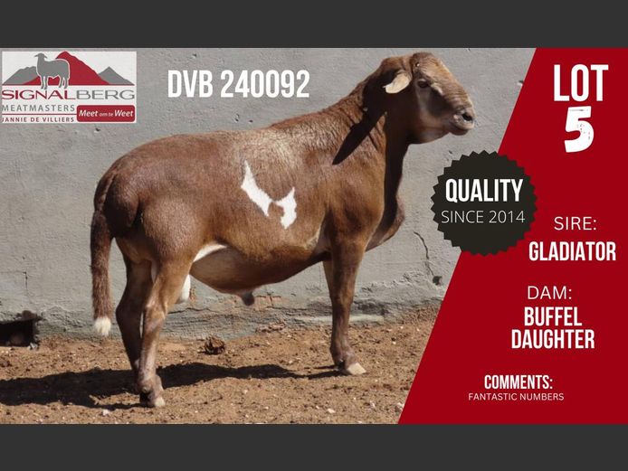 DVB 240092 | SIGNALBERG MEATMASTERS
