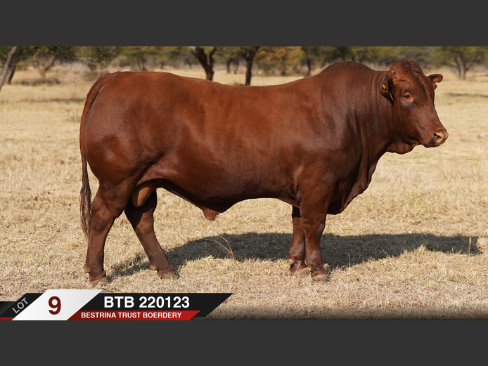 BTB 220123 |  BESTRINA TRUST BOERDERY