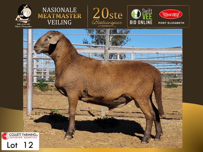 CC 250296 | COLLETT FARMING CC