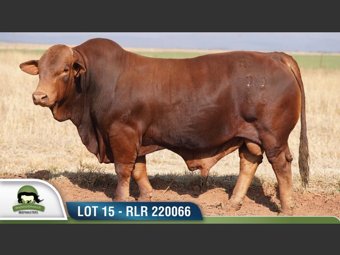 RLR 220066 | RHENOSTERVALLEI