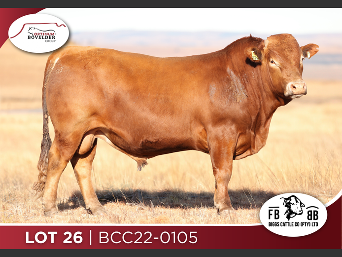 BCC22 - 105