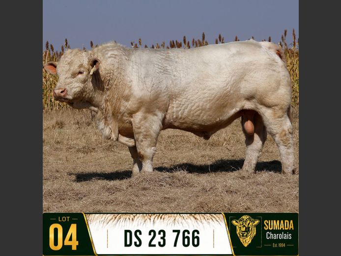 DS 230766