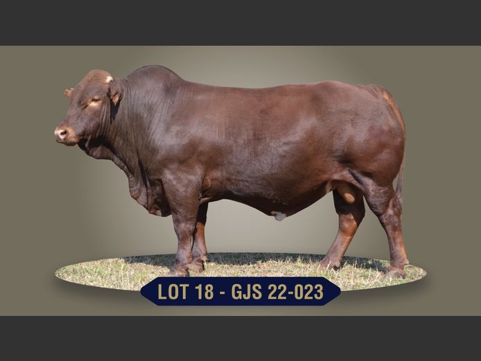 GJS220023 | G.J. STRYDOM