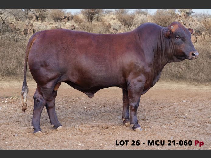 MCU21-0060