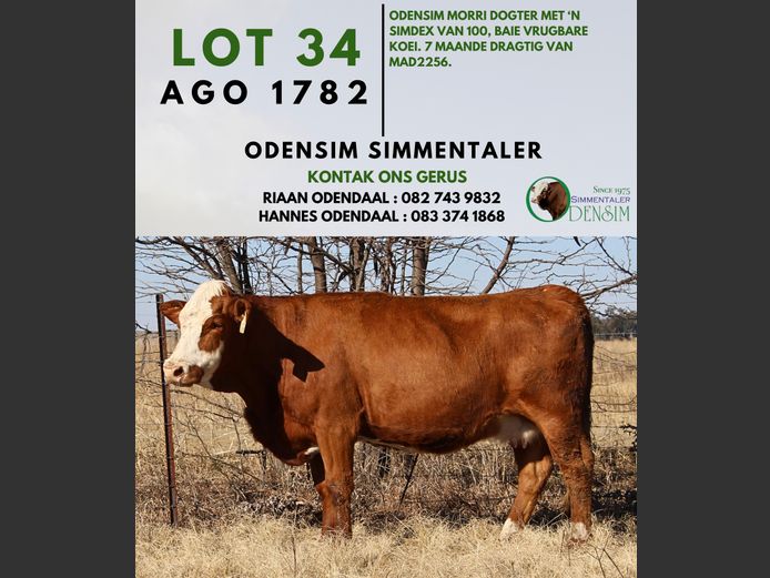 AGO1782 | AG ODENDAAL
