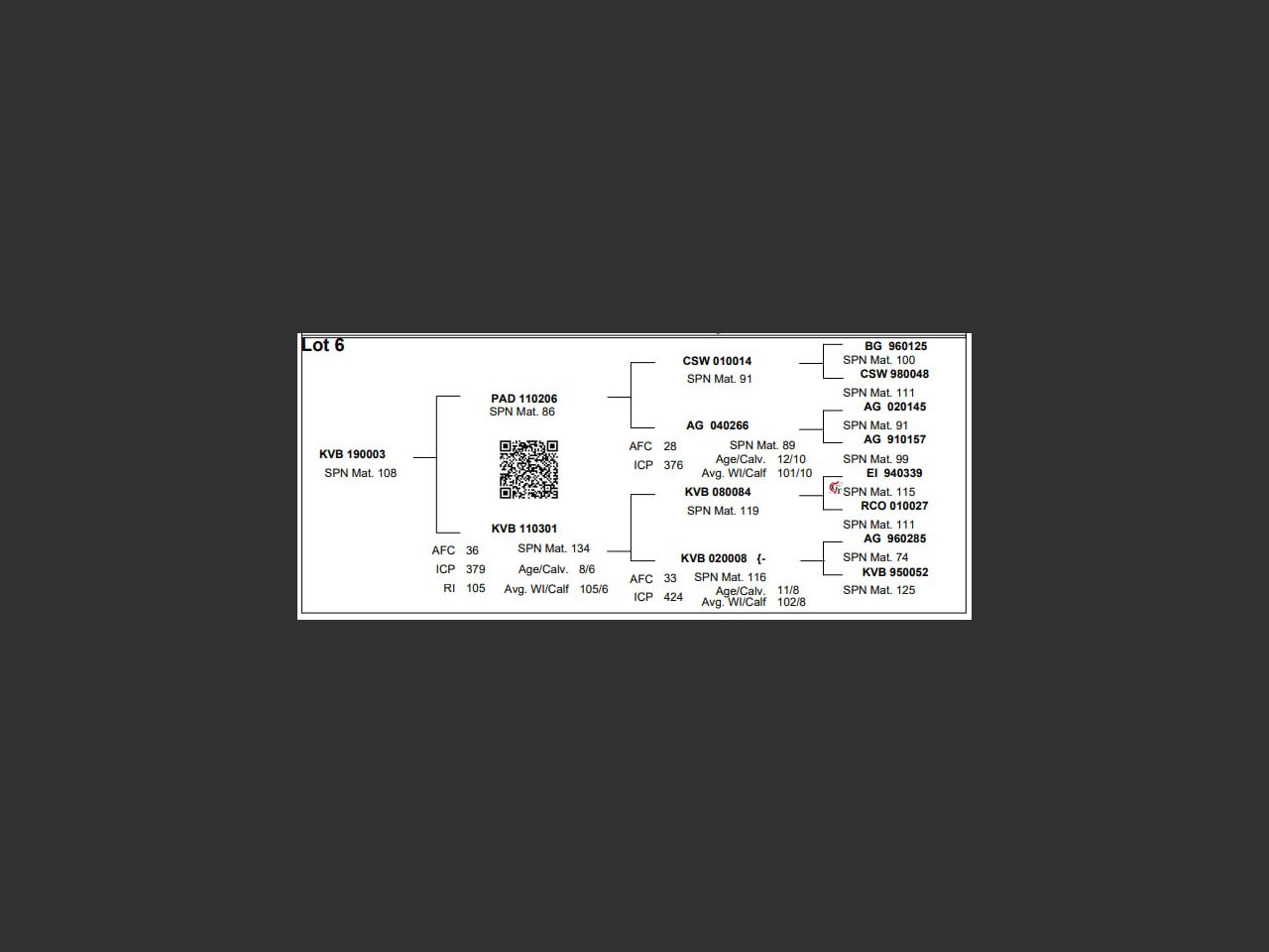 images