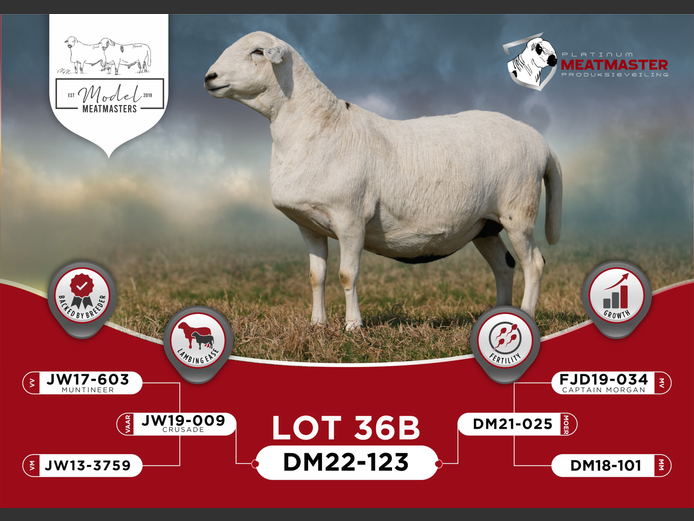 DM 22-0123 | Mario Marais - Model Meatmasters, Britz