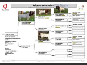 genetic_data