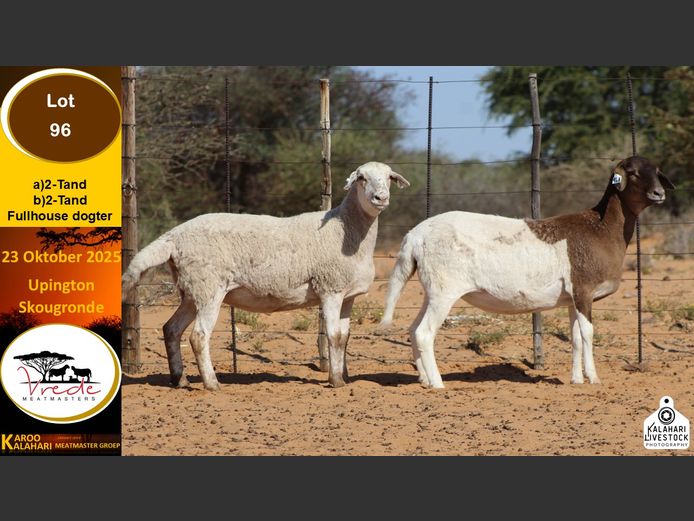 PS 96A | Peter & Christia Scholtz - Vrede Meatmasters