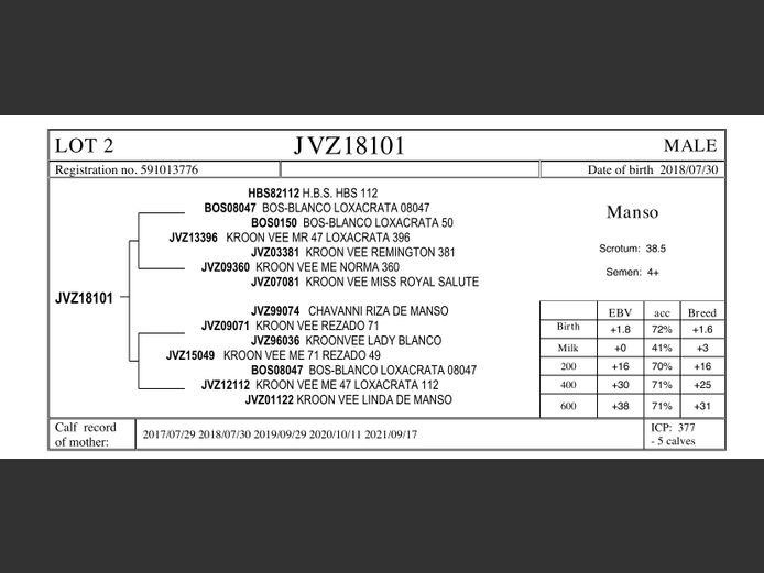 JVZ18-101