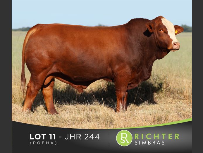 JHR244