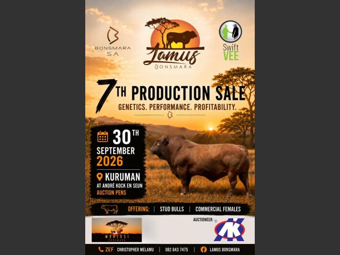 LAMUS BONSMARA 7TH PRODUCTION SALE