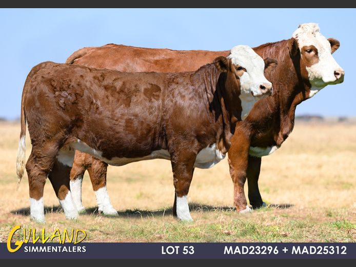 MAD23296 | MG DE JAGER