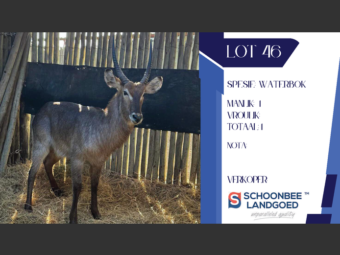 WATERBOK | SCHOONBEE LANDGOED