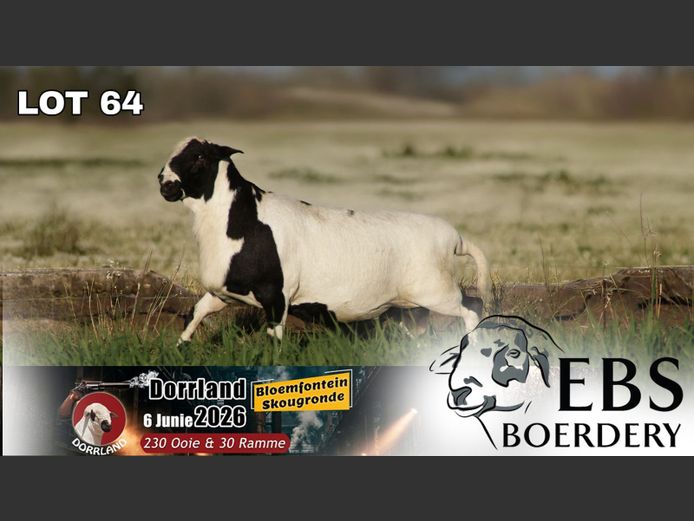 EBS 24 0133 | EBS Boerdery