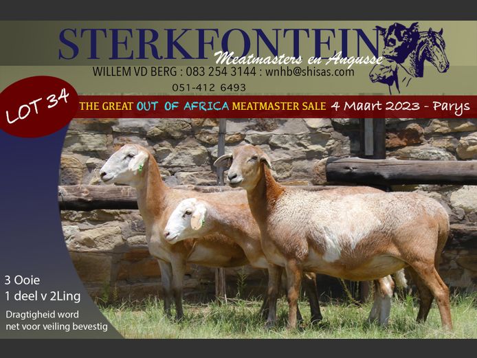 21 653 | Sterkfontein Meatmasters