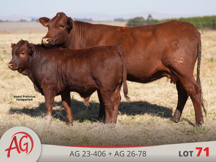 AG230406 | ARTHUR DE VILLIERS & SEUN