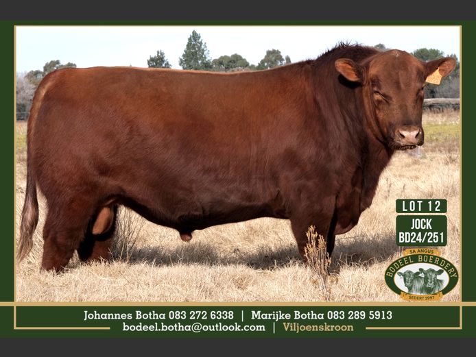 BD240251 | BODEEL BOERDERY
