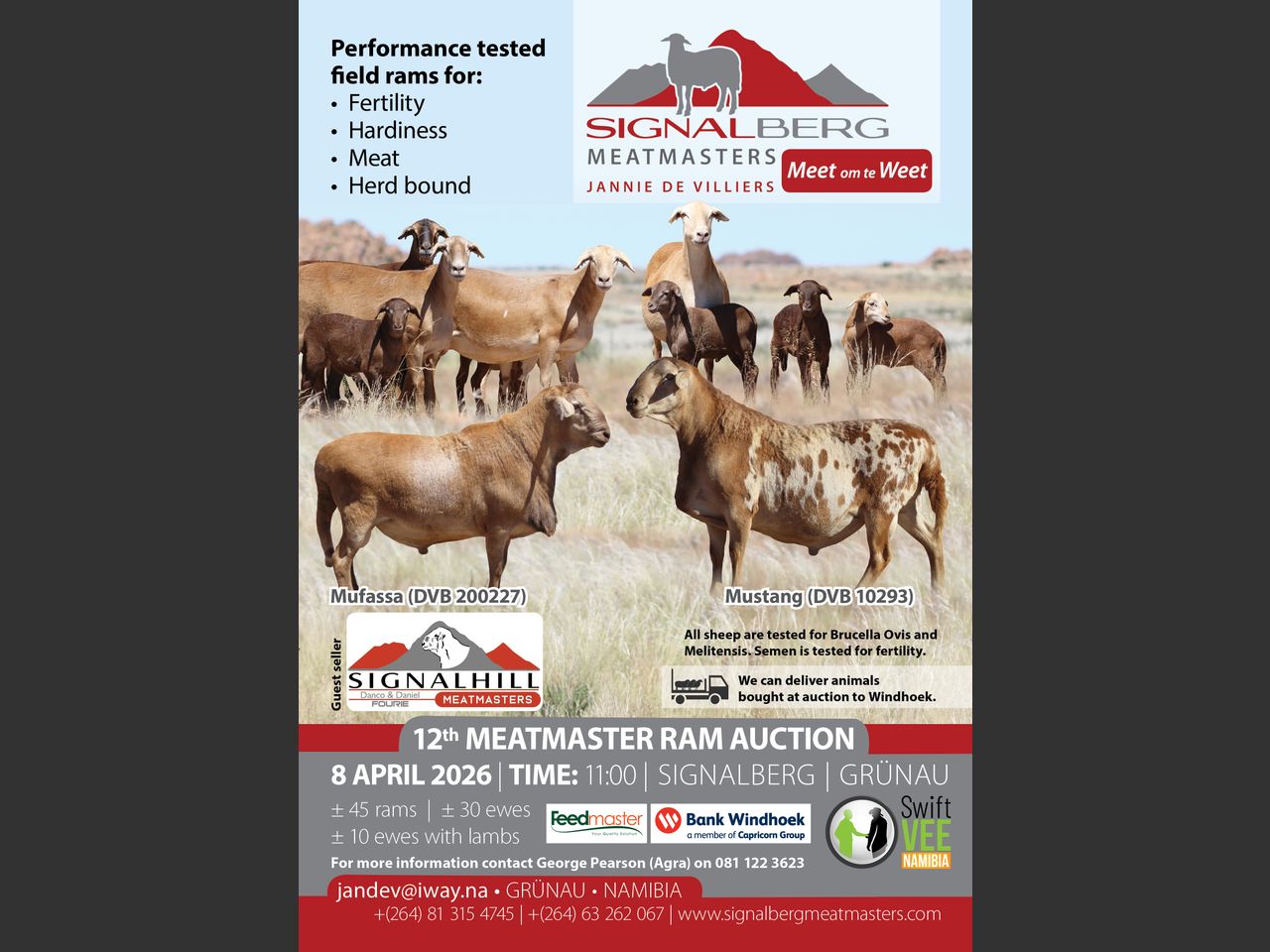 Lot 1A | SIGNALBERG MEATMASTERS 12TH MEATMASTER RAM AUCTION | SwiftVEE ...
