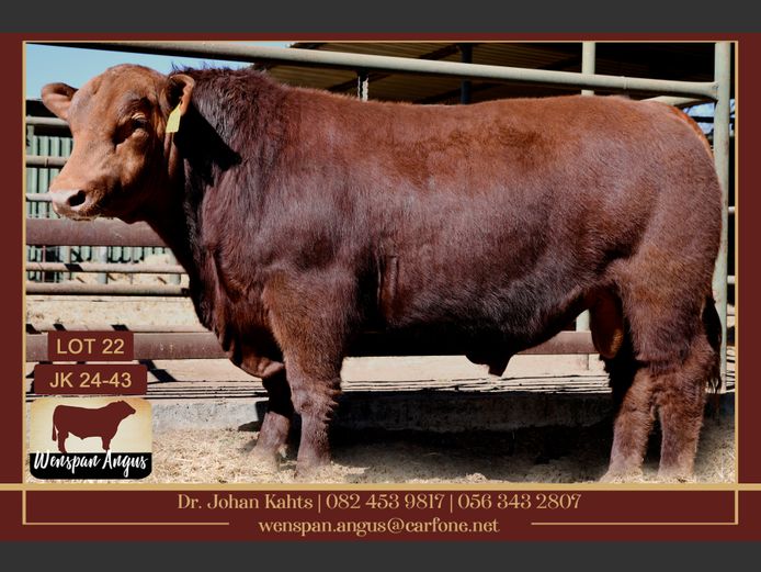JK240043 | J. KAHTS
