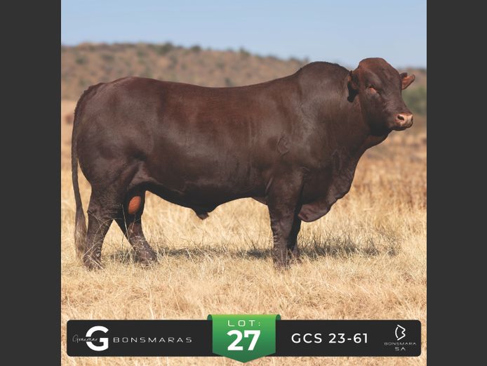 GCS 230061 | G.C. STANFORD