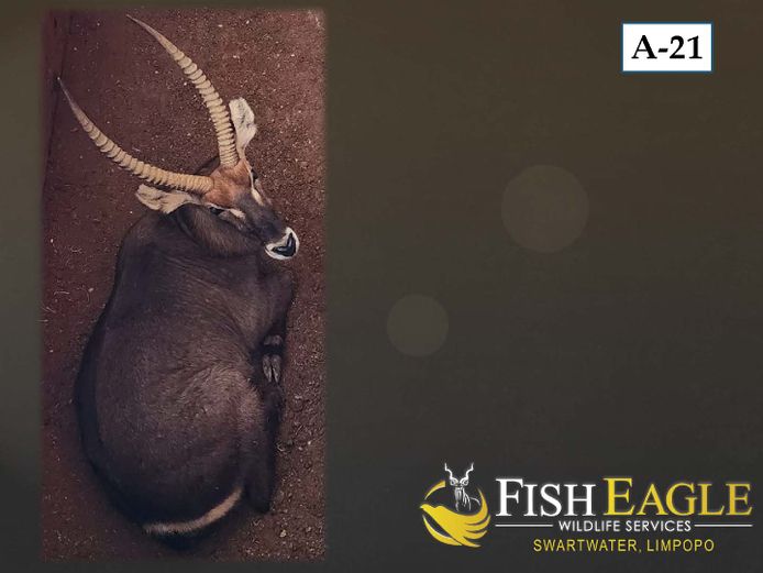 WATERBOK