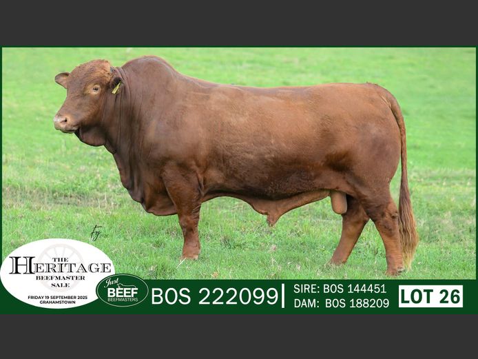 BOS222099 | SUPER PRO DAIRY