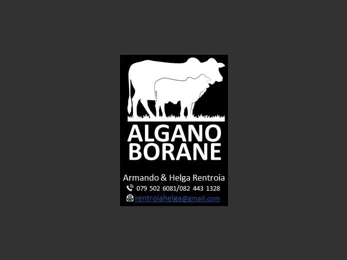 COMMERCIAL ANIMALS - ALGANO BORANE