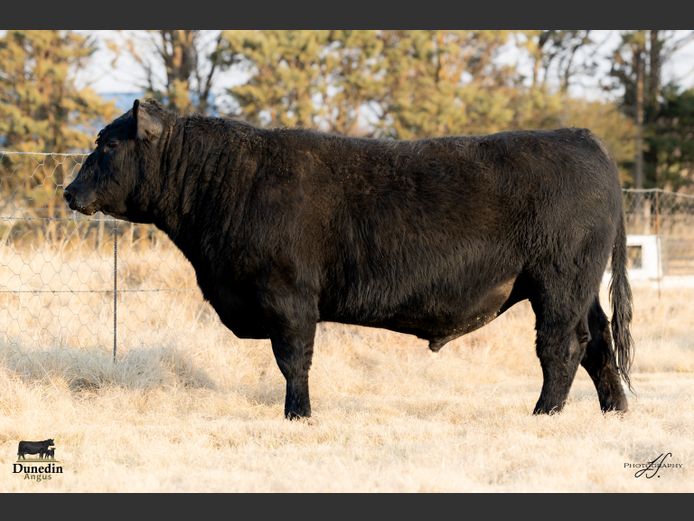 KCM 230098 | TABLE HILL FARMING PTY LTD
