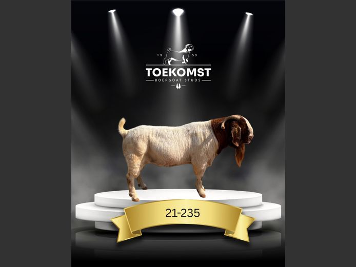 21-235 | Toekomst