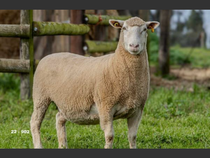 JT 220902 | REMKUIL BOERDERY (EDMS) BPK