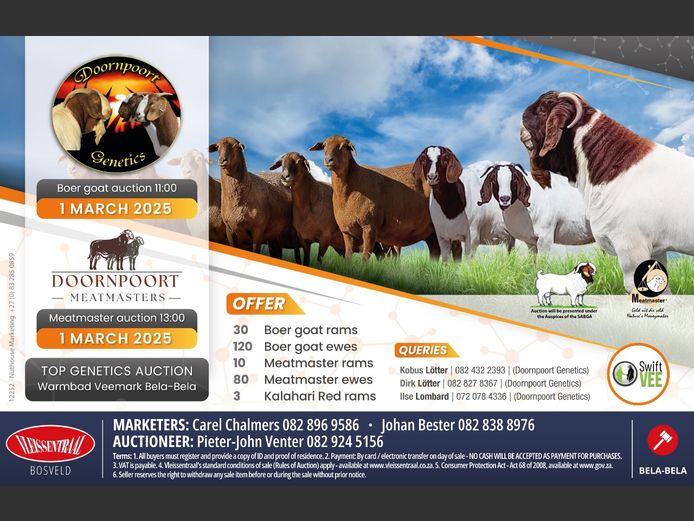 DOORNPOORT GENETICS AUCTION