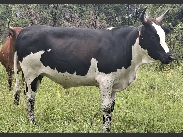 ZNS 230023 | ARIES FAMILIE TRUST