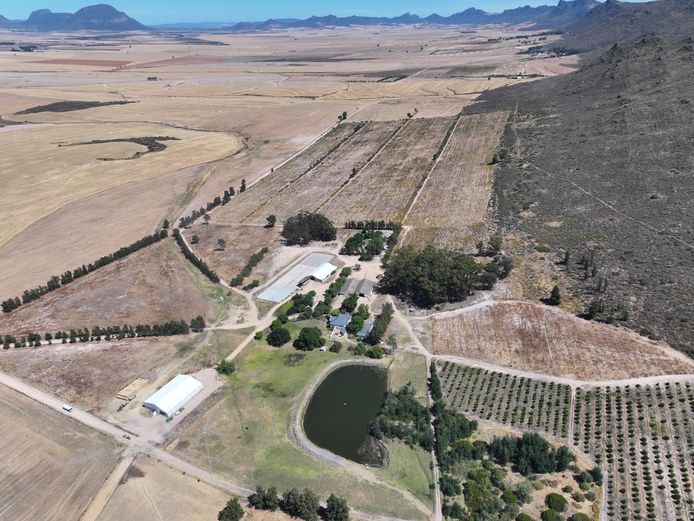 2399ha Prime Agricultural Opportunity - Piketberg