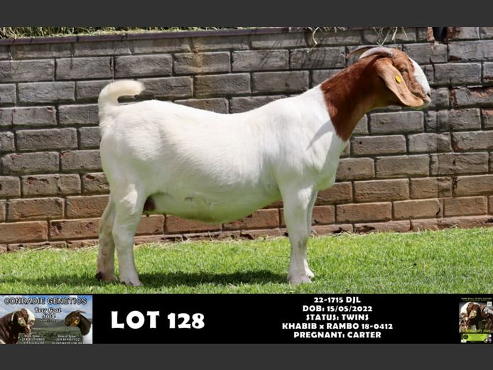 22-1715 DJL | DIRK LOUW