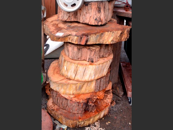 LOT: TREE STUMP PAVERS