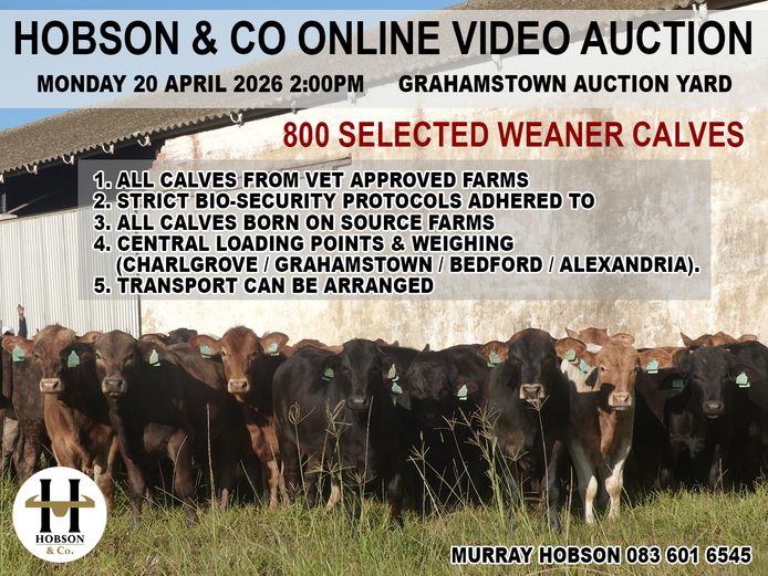 HOBSON & CO ONLINE VIDEO AUCTION