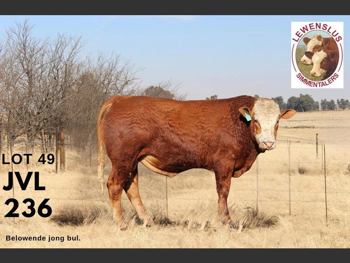 JVL236 | JSH VAN DER LINGEN