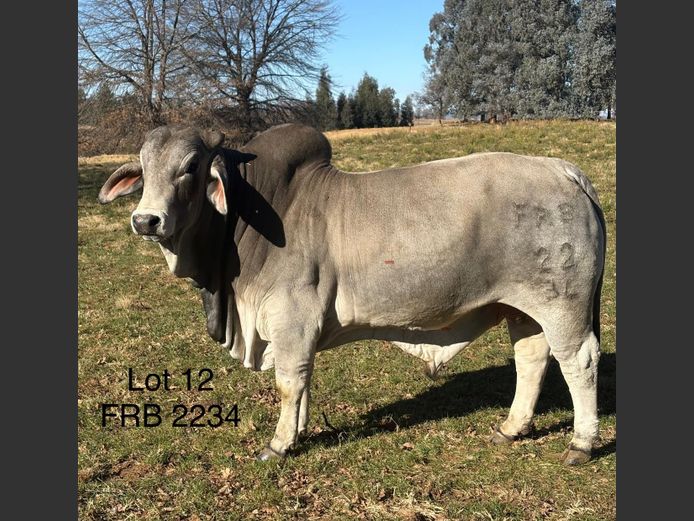 FRB2234 | FALCON RIDGE FARM