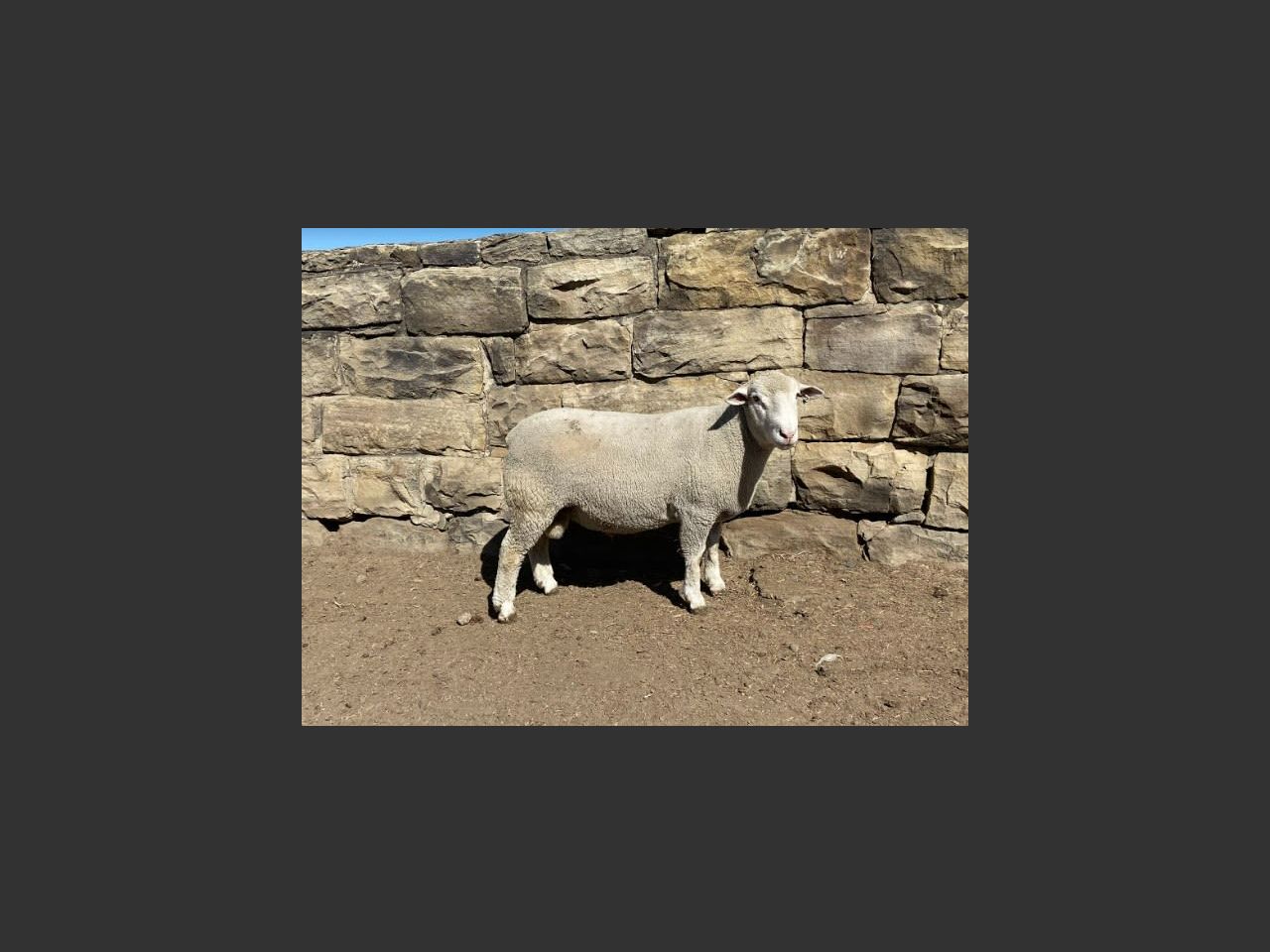 images